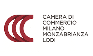 camera-commercio.png